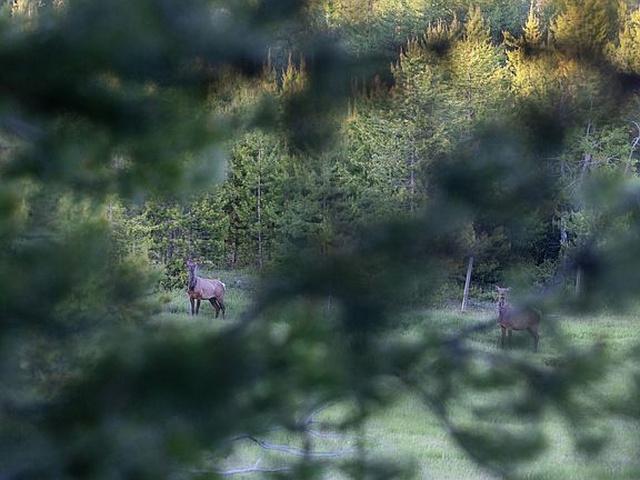 78th image of this home