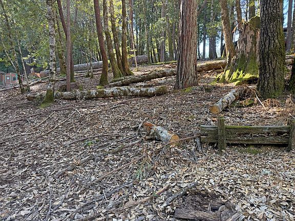 2nd image of 1920 Perch Road