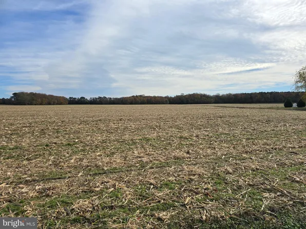 0 Richardson Rd, Willards, MD 21874