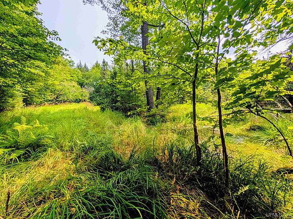 2nd image of 160 Acres Camp Gibbs Rd