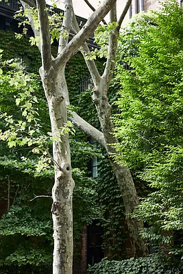 Rented by R New York | media 19