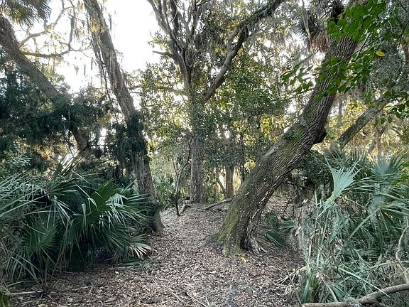 3rd image of 539 Oristo Rdg