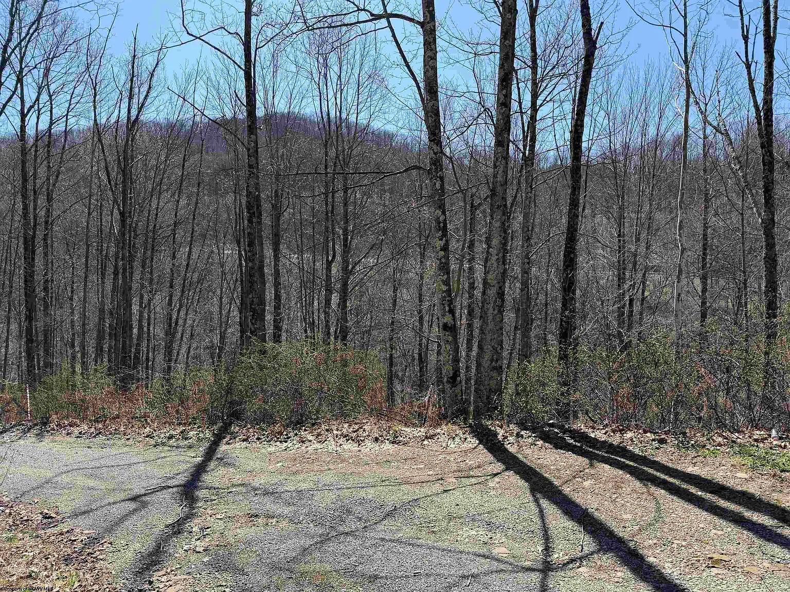 145 Yellow House Ln photo 1