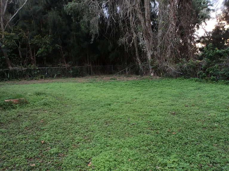 4878 Reno Dr — Photo 17