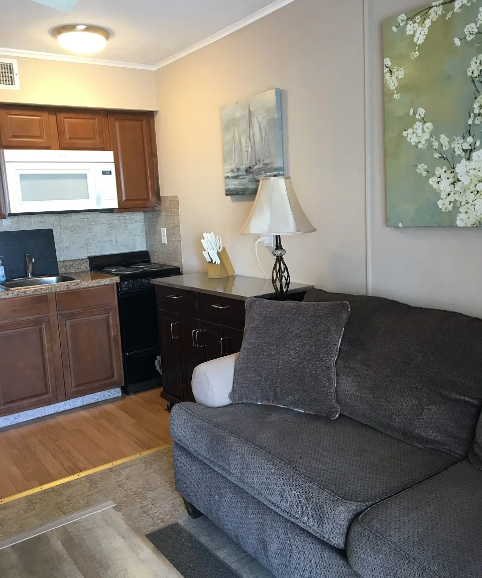 1 bed, 420 sqft, $1,295 — Photo 4