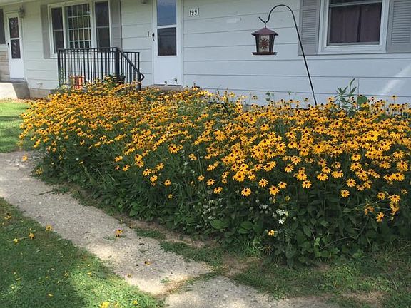 199 east lagrange rd