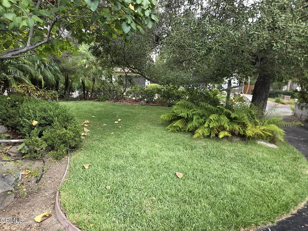 3 bed, 2.0 bath, 1341 sqft, $4,900 — Photo 4