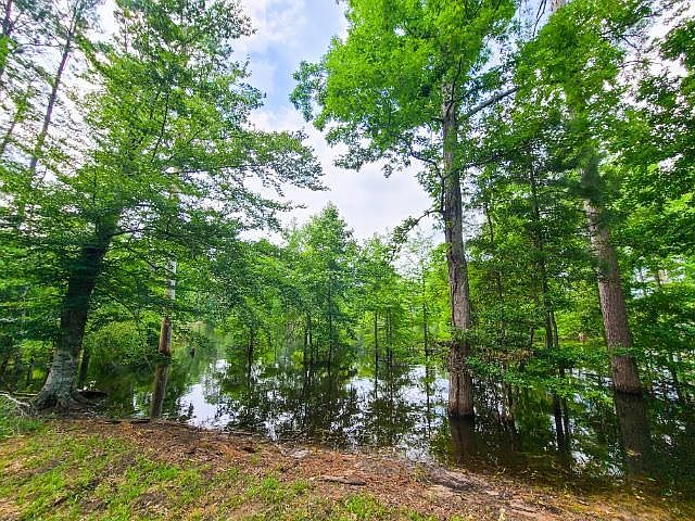 1st image of 1605 Cypress Poin
