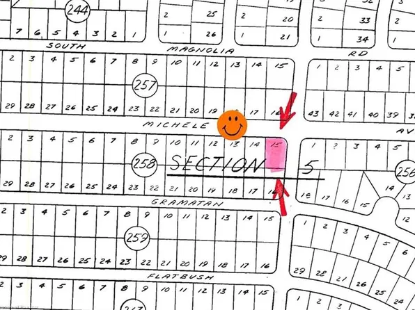 3232 Michele Ave, Lake Placid, FL 33852