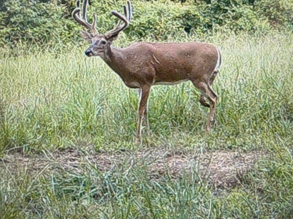 103rd image of 450 County Road 28