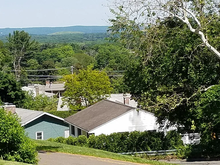 Bemis Rd — Photo 22