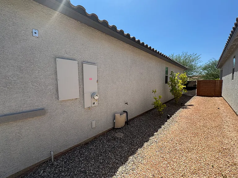 Low-maintenance side yard featuring two fruit trees with gate access to backyard.