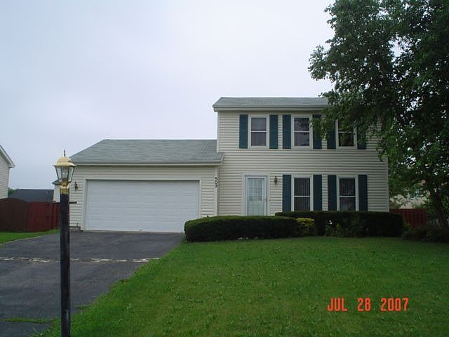 Front  view
