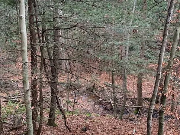 0 Central Rd, Benton, PA 17814