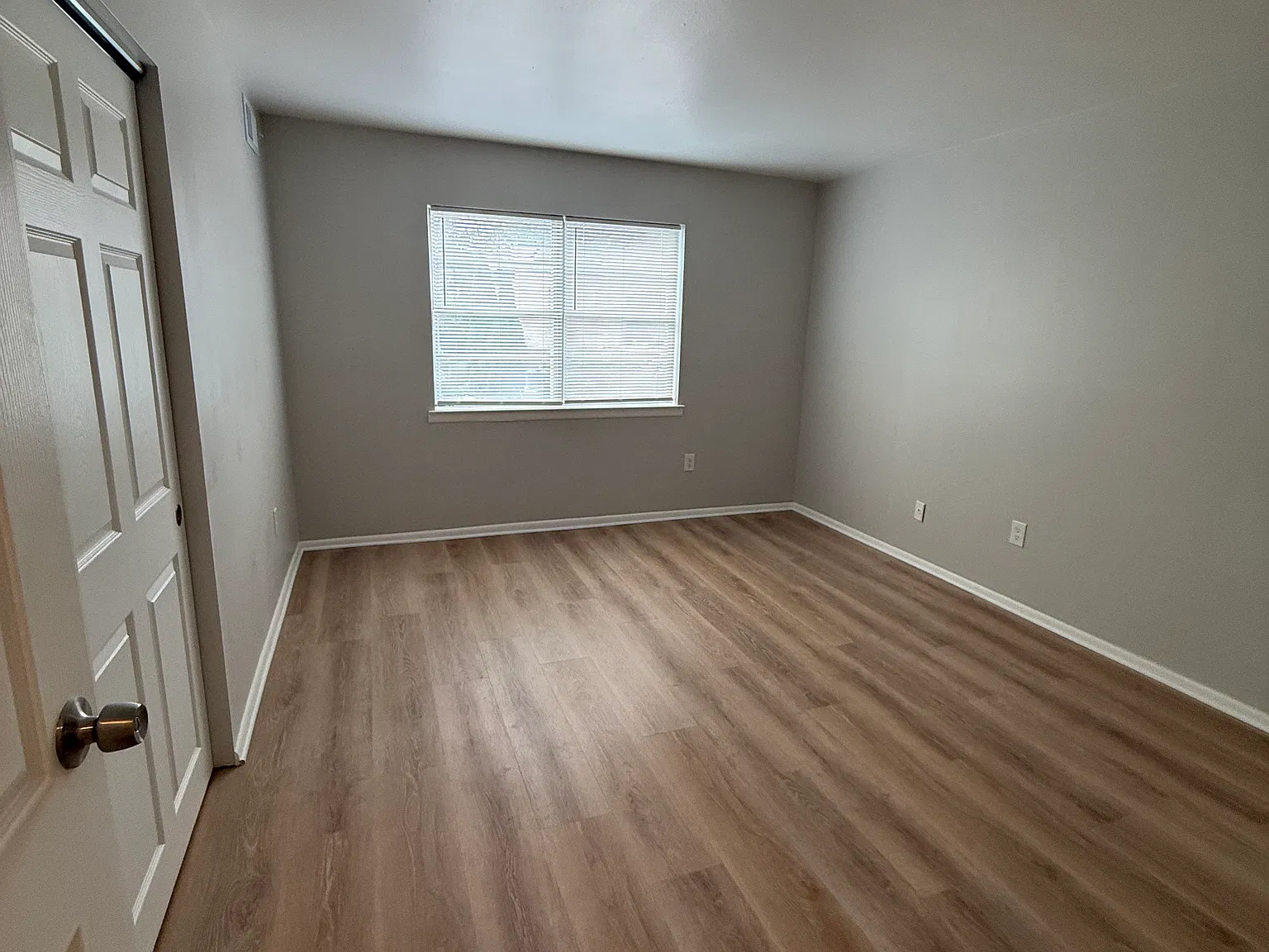 1 bed, 800 sqft, $1,250 — Photo 4