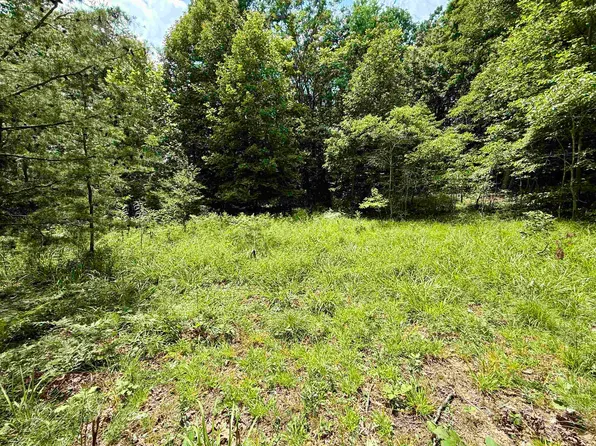 LOT 26 Caroline Rd, Flatwoods, KY 41139