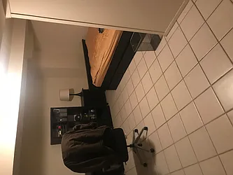 Rented by Shalimar Management