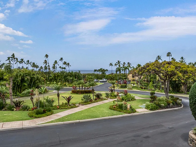 Wailea Alanui Dr — Photo 10