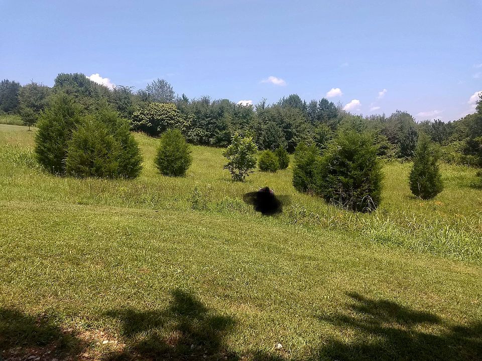 2nd image of 172 Napier Ridge Rd