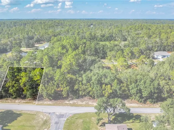661 W Bancroft Dr, Citrus Springs, FL 34434