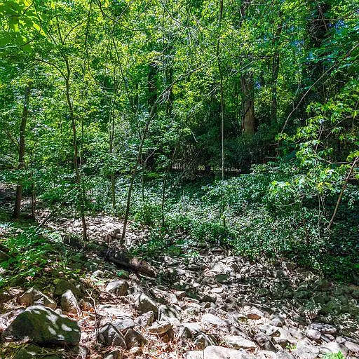 5983 Dixon Dr — Photo 8