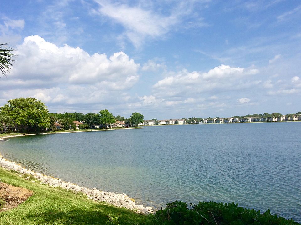view from patio