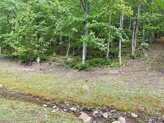 5th image of 0 Raulston Falls Rd Lot 105