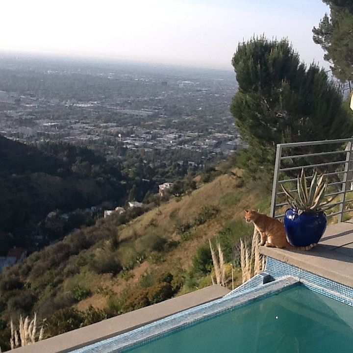 1st image of 2222 Astral Dr