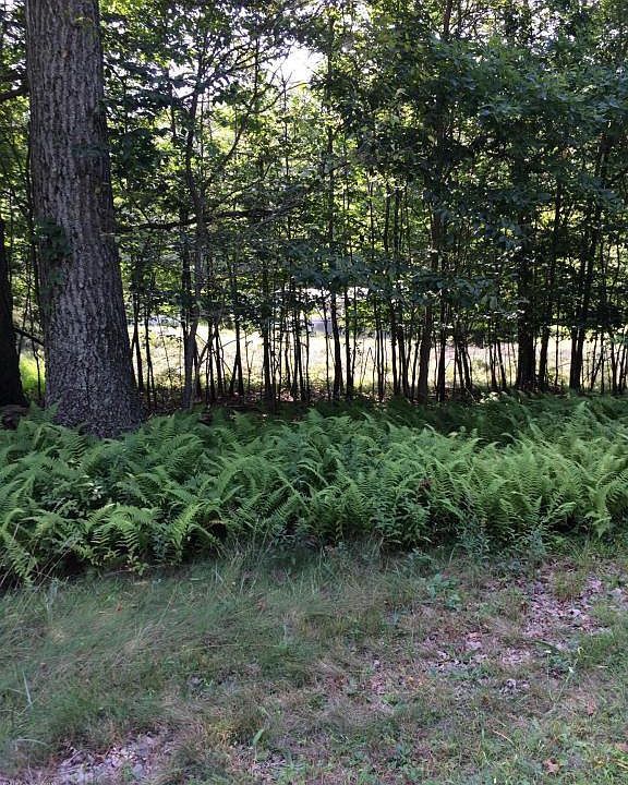 1st image of 1335 Sierra Trails Dr