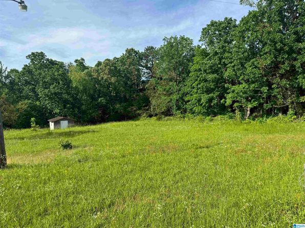 0 Lelan Nichols Rd #1, Hamilton, AL 35570
