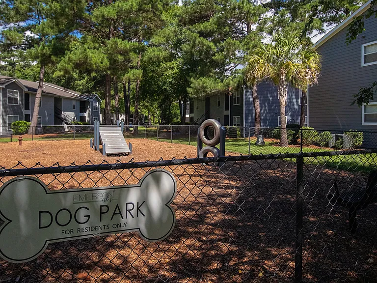 Treat your furry friend to a day of joy at Emerson Isles' Bark Park. The fenced-in area and obstacle course equipment create the perfect canine playground for off-leash adventures.