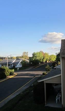 View from Front Deck