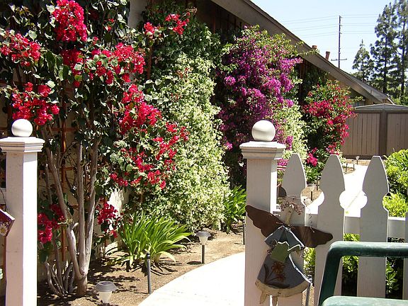 2nd image of 444 S Tustin St #1