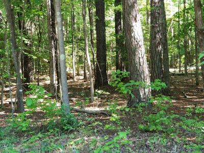 0 Dogwood Ct, Littleton, NC, 27850