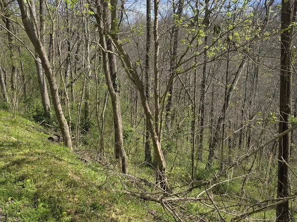 2 Shoreside Dr Lot 2, Smithville, TN 37166