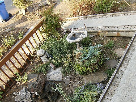 View of ramp and front yard.