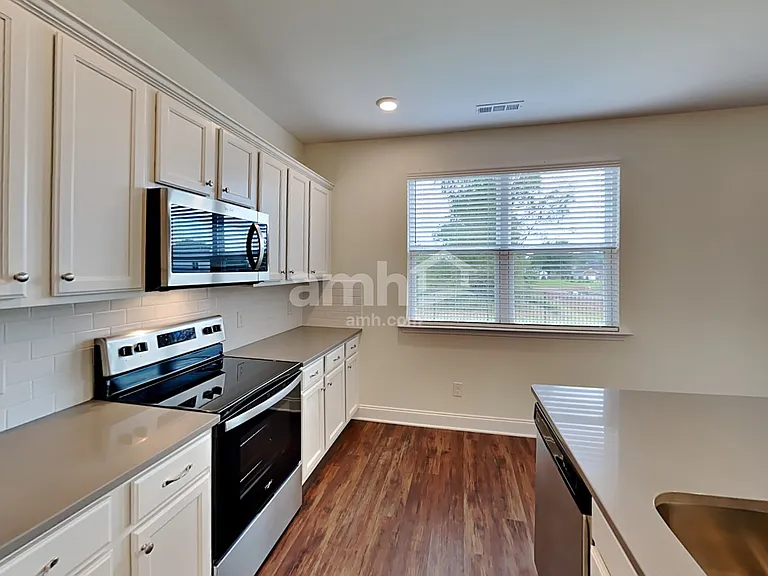 3910 Dignity Ct — Photo 3