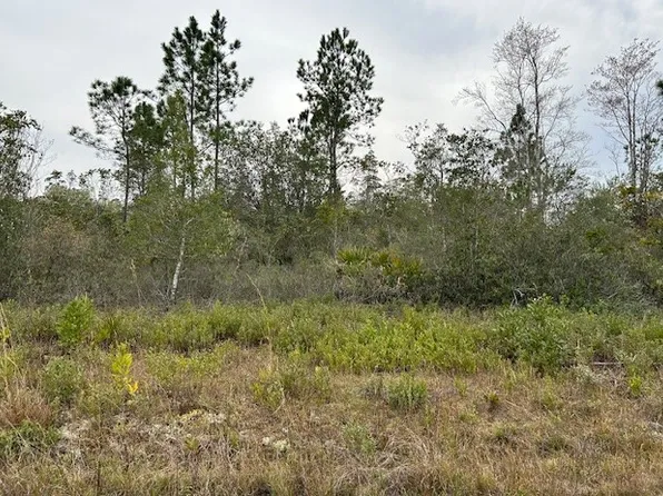100 Fort Tyler Trl, Waynesville, GA 31566
