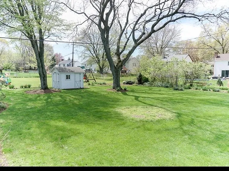 back yard