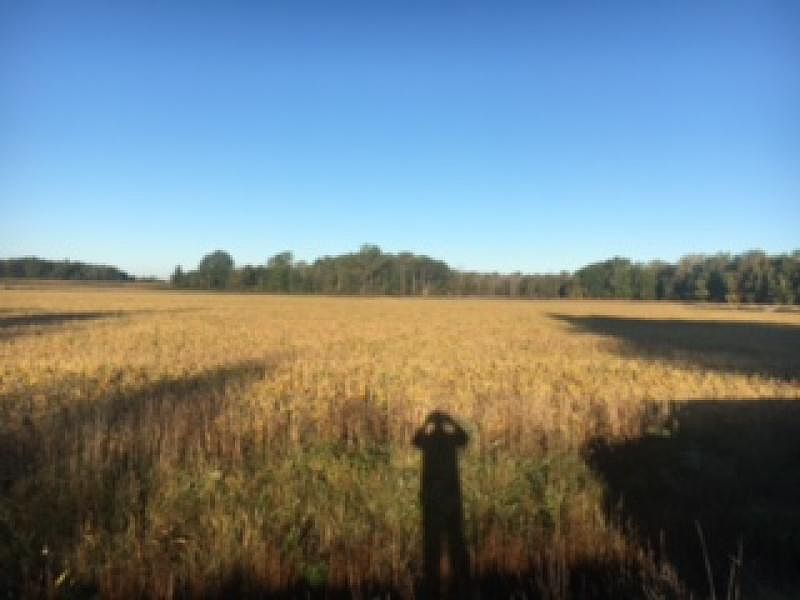 2nd image of Van Dyke Rd