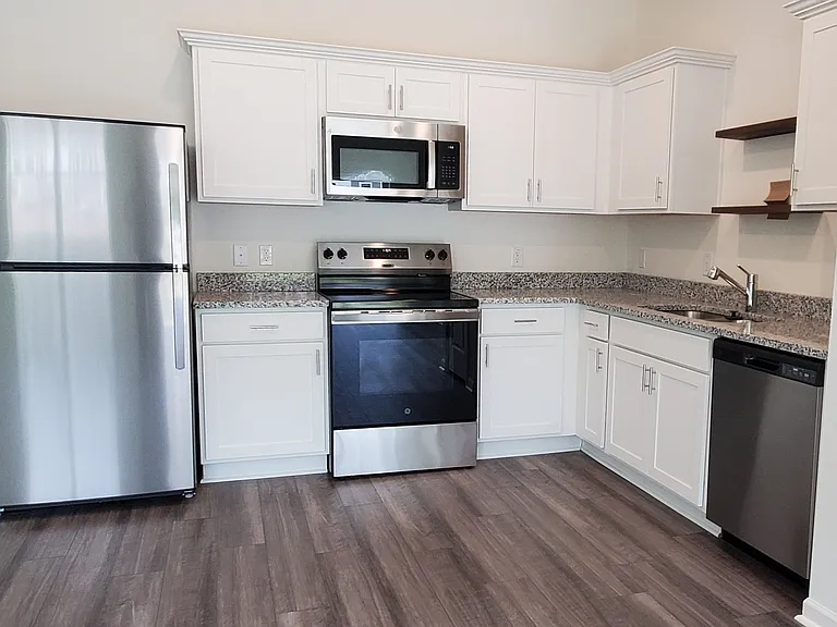 1704 Scarlett Maple St — Photo 1