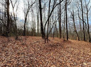 13 Rhododendron Dr, Saluda, NC 28773