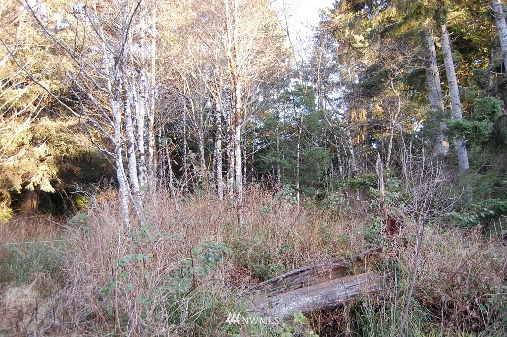 1 XXX Highway 109 photo 1