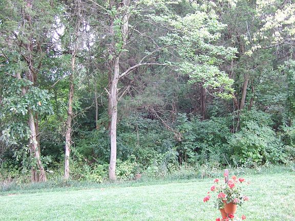 Backs to wooded area