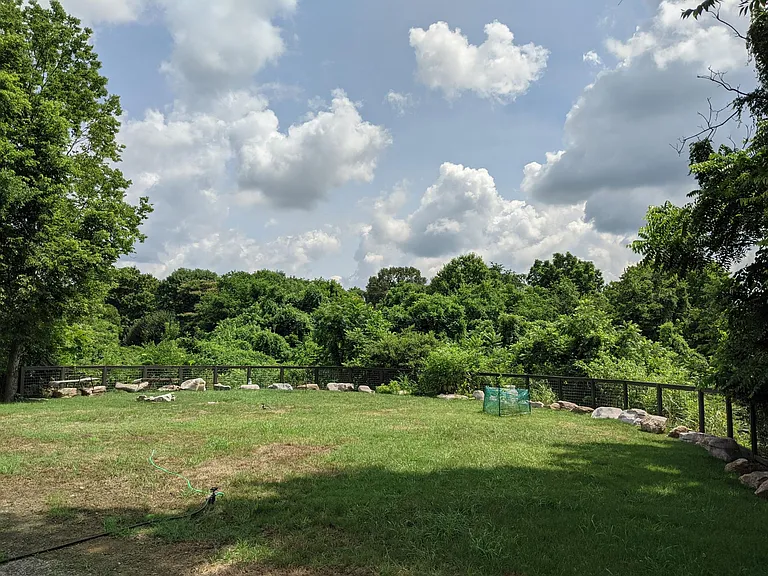 1023 Mitchell Rd — Photo 28