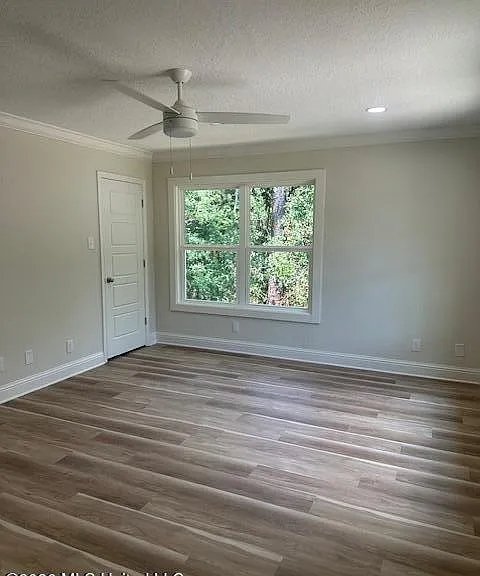 113 Forest St — Photo 19