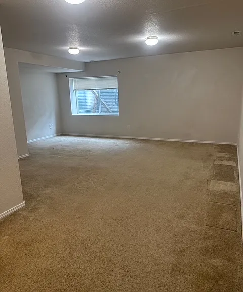 Basement area, ~ 18' x 20'