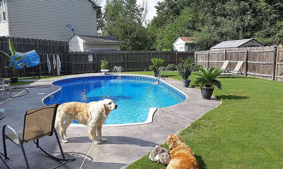 2nd image of 1608 Cliffwood Dr