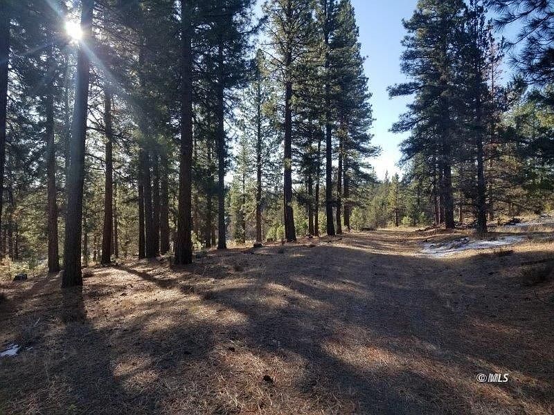 1st image of 105 / Acres Off County Rd #133C