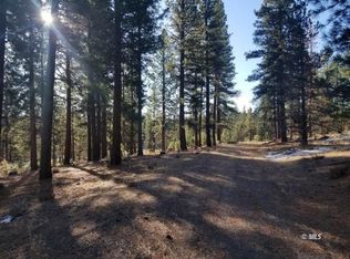 105 / Acres Off County Rd #133C, Davis Creek, CA 96108